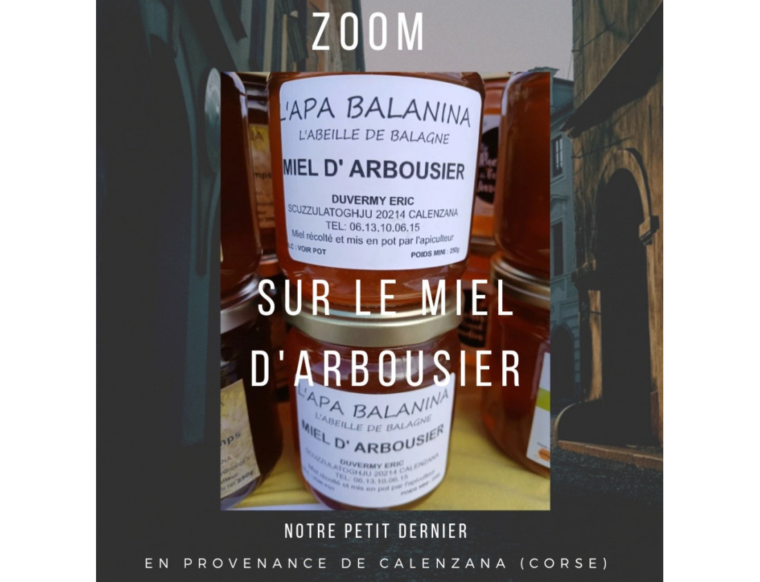 ZOOM sur le miel d'arbousier